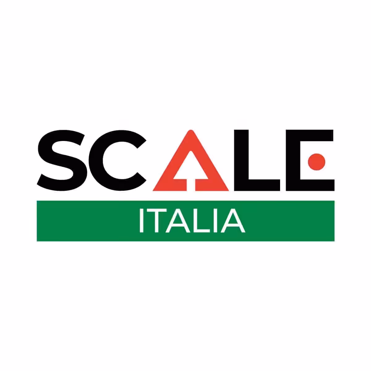 Logo scale italia square